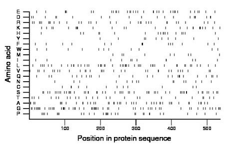 amino acid map