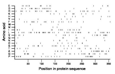 amino acid map