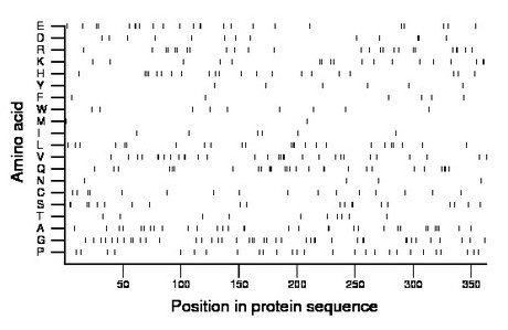 amino acid map