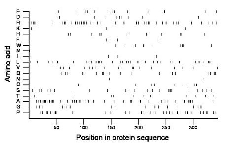 amino acid map