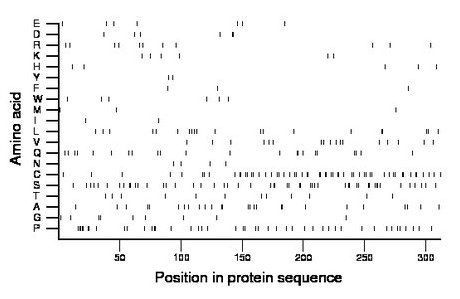 amino acid map