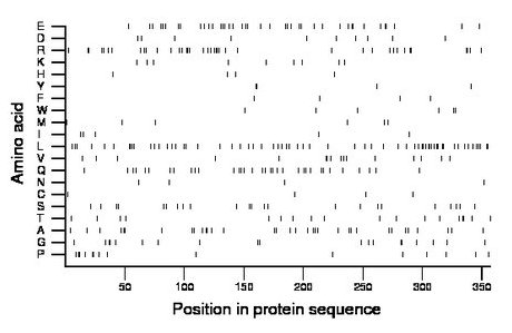 amino acid map