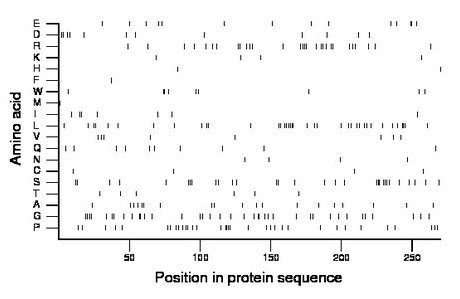 amino acid map