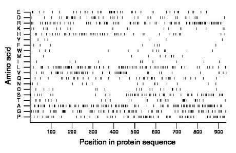 amino acid map