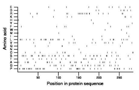 amino acid map