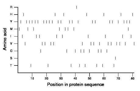 amino acid map