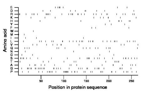 amino acid map