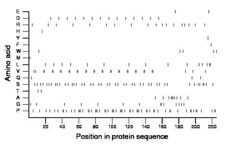 amino acid map