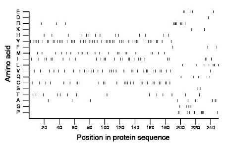 amino acid map