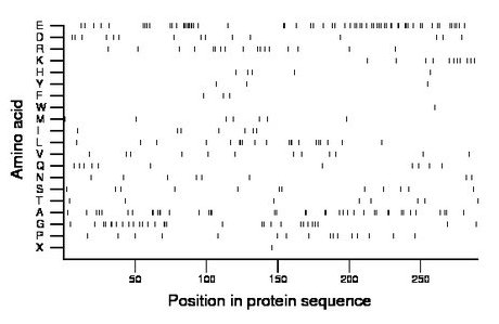 amino acid map