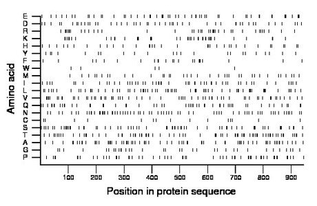 amino acid map