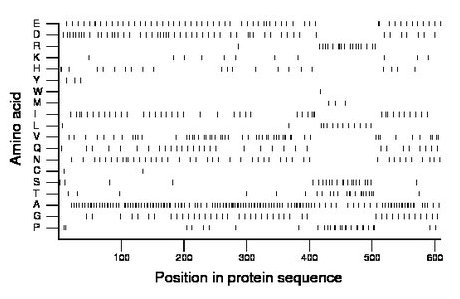 amino acid map