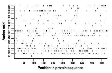 amino acid map