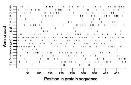 amino acid map