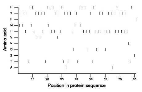 amino acid map