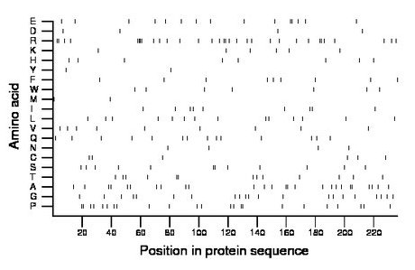 amino acid map