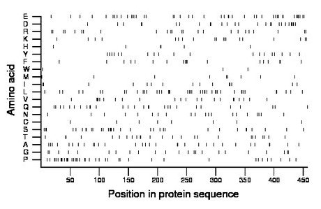 amino acid map