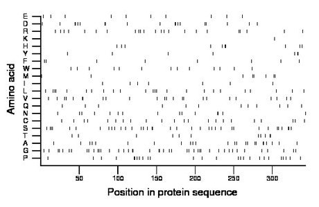 amino acid map