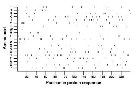 amino acid map