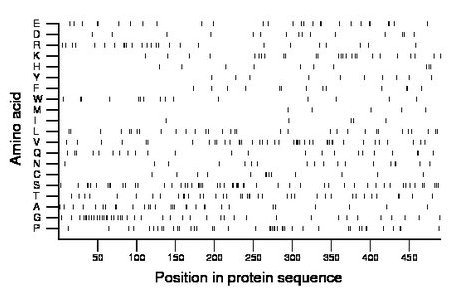 amino acid map