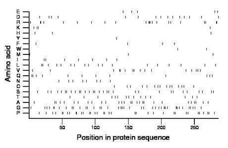 amino acid map