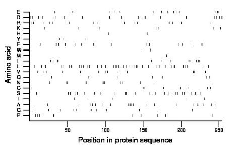 amino acid map