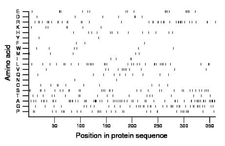 amino acid map