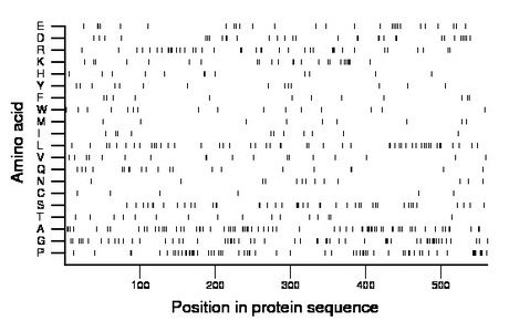 amino acid map