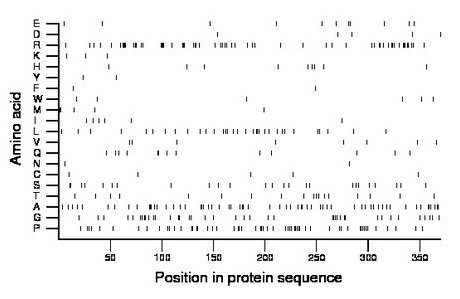 amino acid map