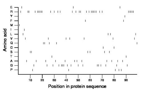 amino acid map