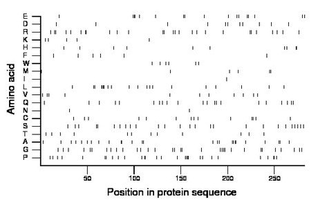 amino acid map