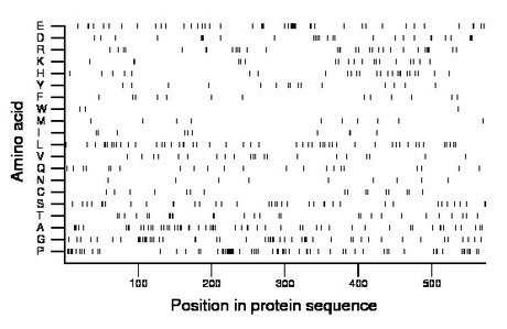 amino acid map