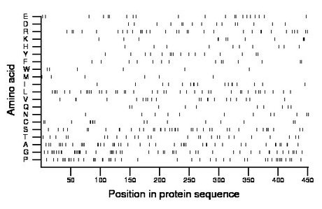 amino acid map