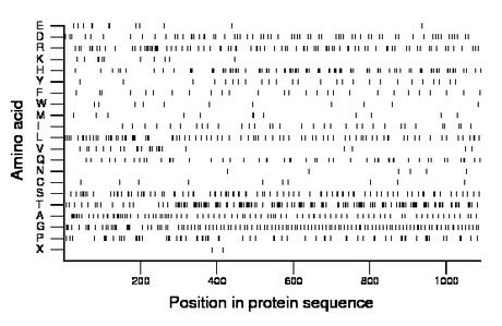 amino acid map