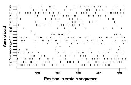 amino acid map