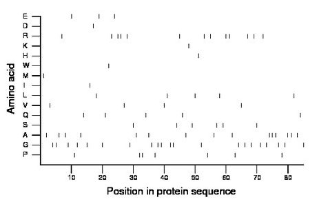 amino acid map