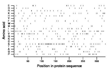 amino acid map