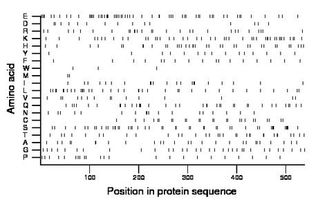 amino acid map