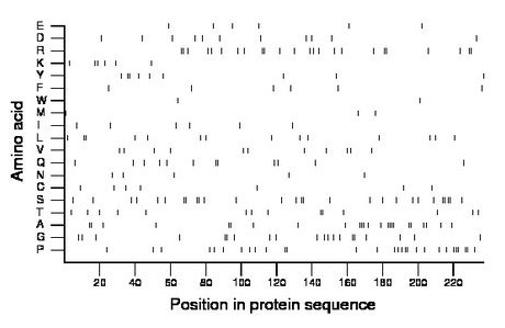 amino acid map