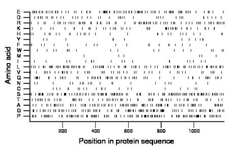 amino acid map