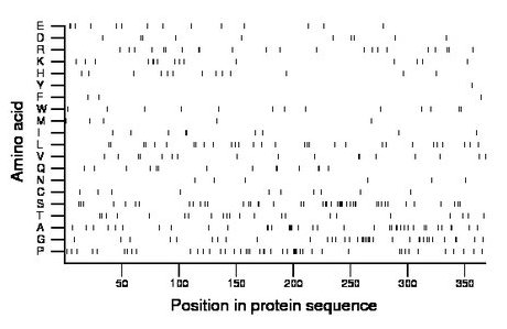 amino acid map