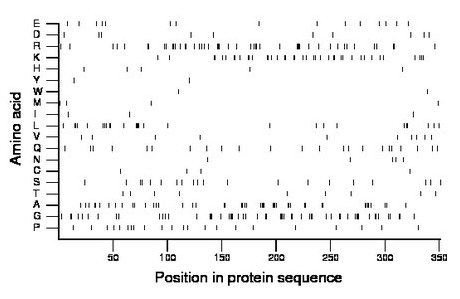 amino acid map