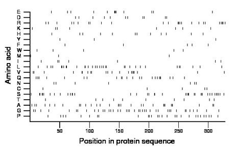 amino acid map