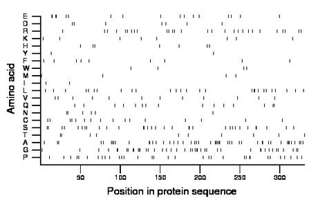 amino acid map