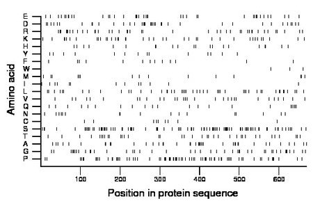 amino acid map