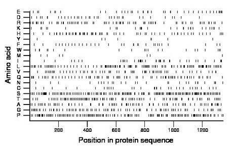 amino acid map