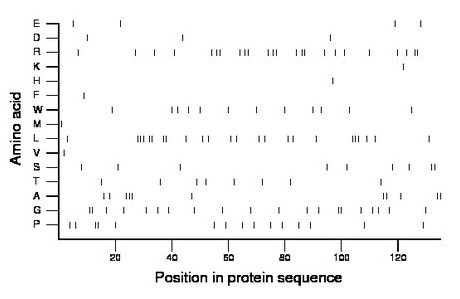 amino acid map