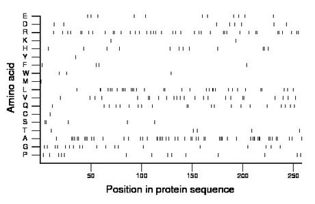 amino acid map