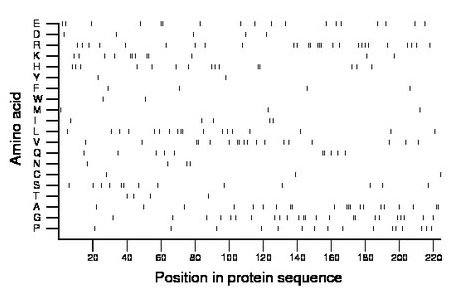 amino acid map