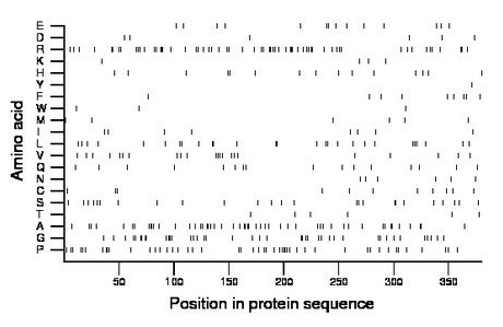 amino acid map